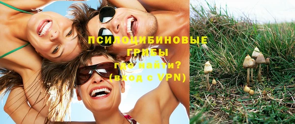 эйфоретик Алексеевка